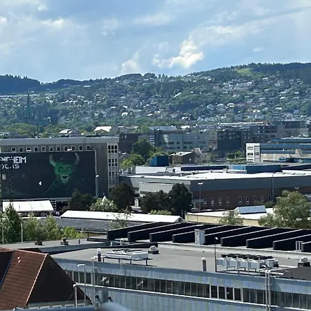Moderne Og Sentralt Pa Lilleby Trondheim